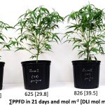 How do temperature settings impact THC vaporization efficiency?