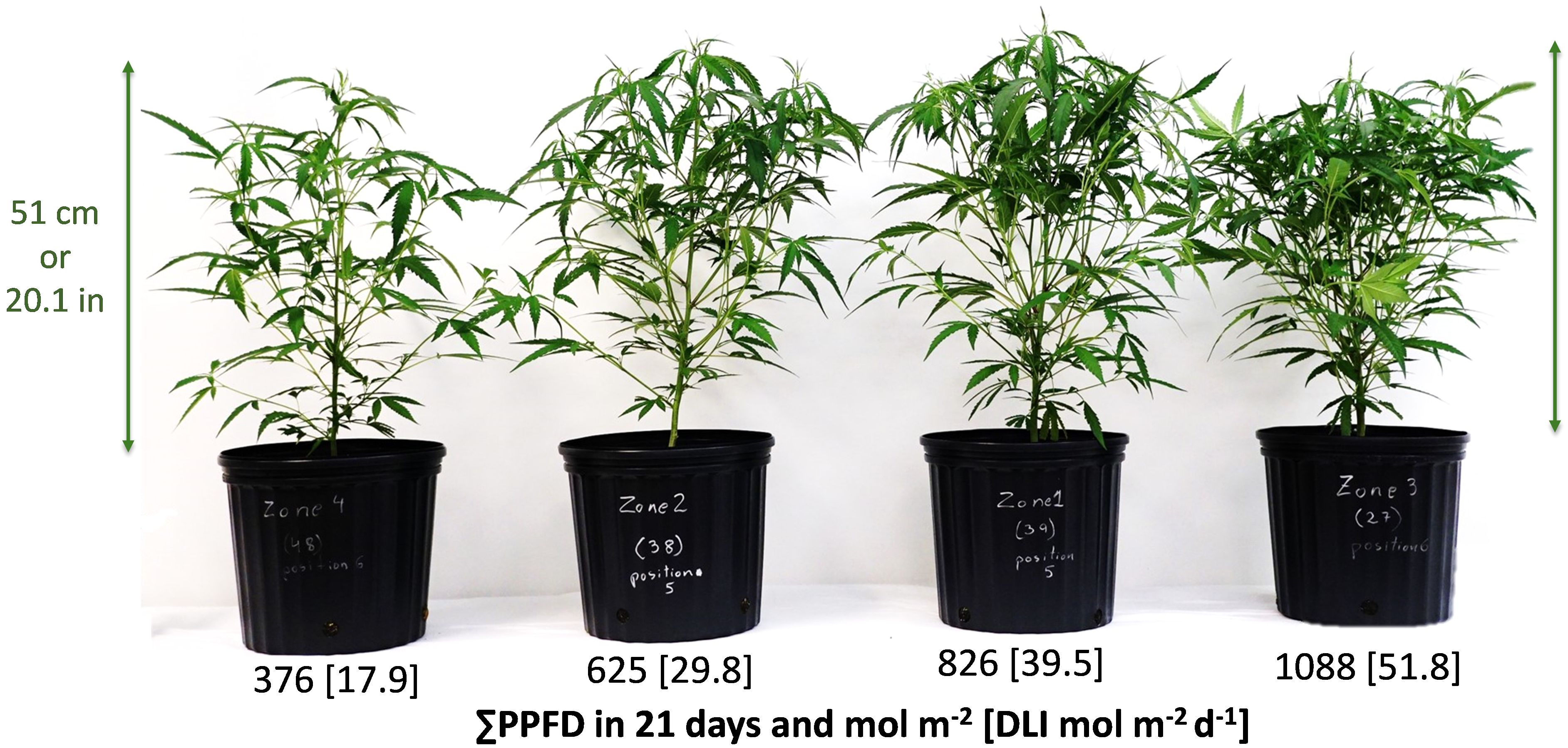 How do temperature settings impact THC vaporization efficiency?