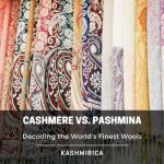 Pashmina vs Wool vs Cashmere: Which Shawl Is Best for You?