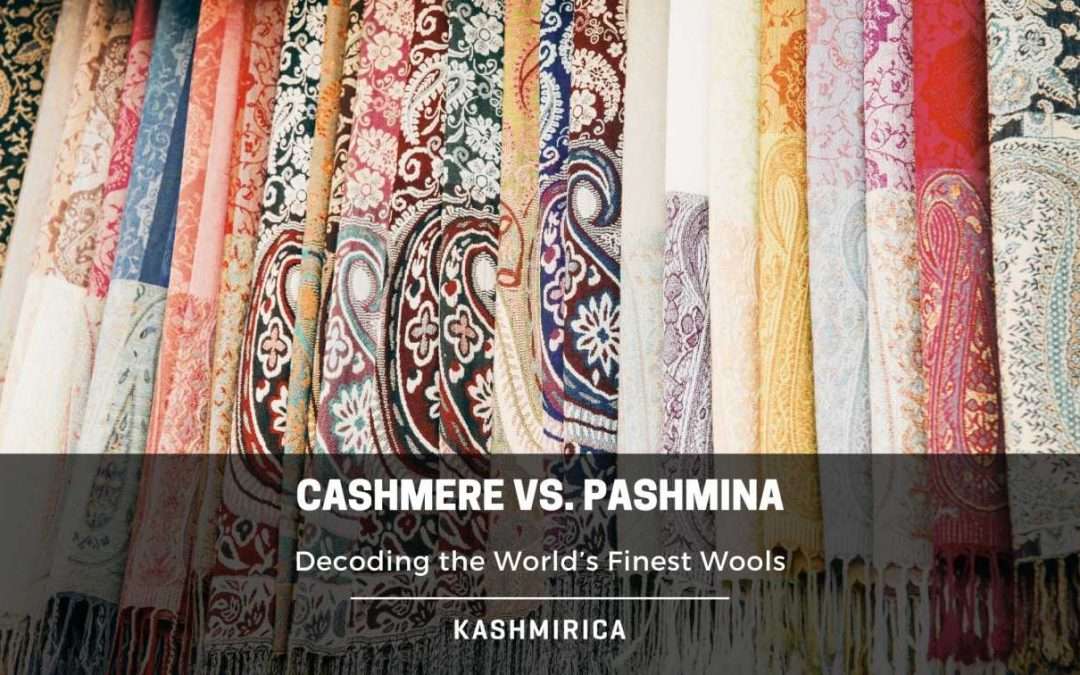 Pashmina vs Wool vs Cashmere: Which Shawl Is Best for You?